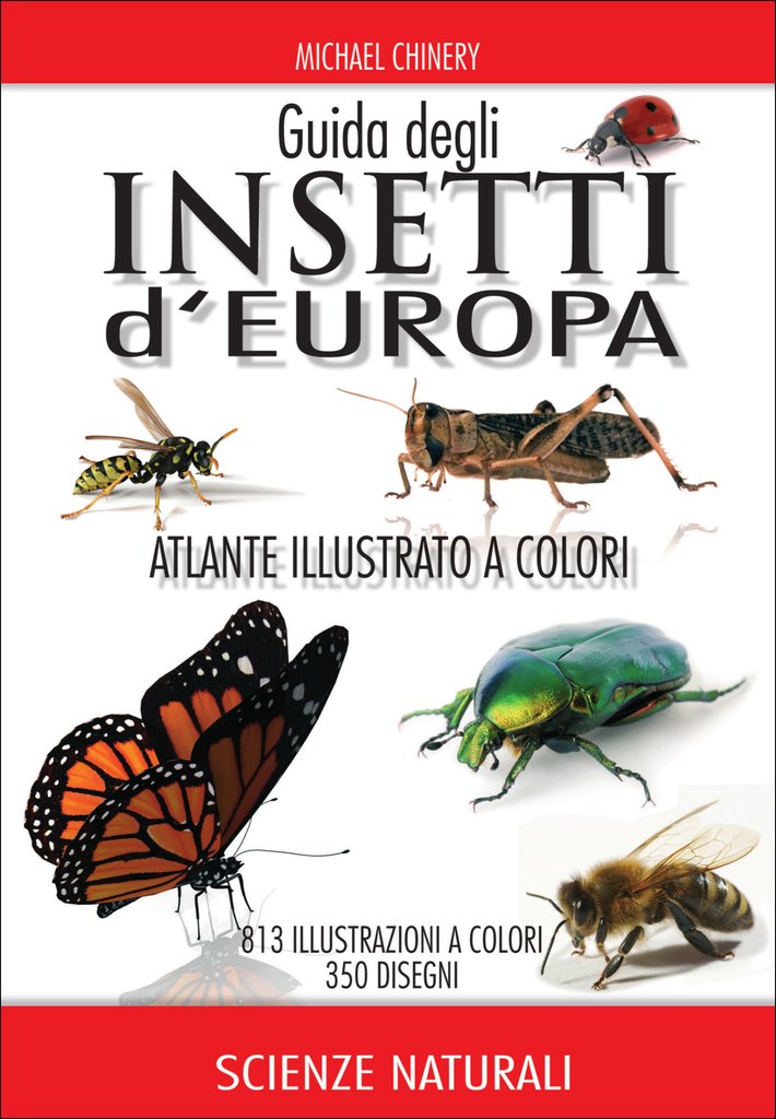 Guida insetti d''Europa
