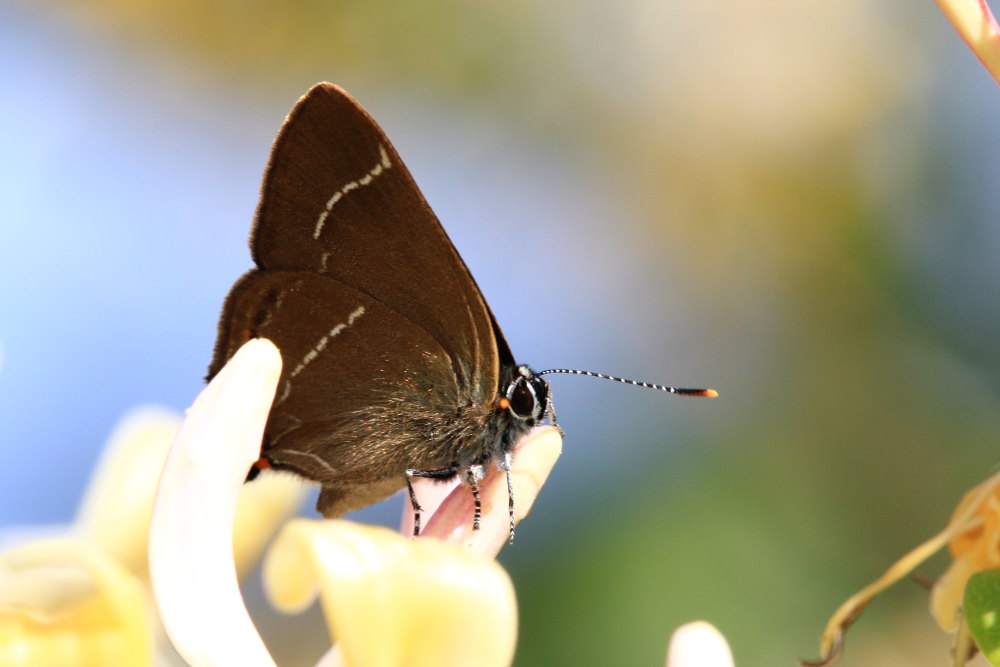 Finalmente la primavera (speriamo)