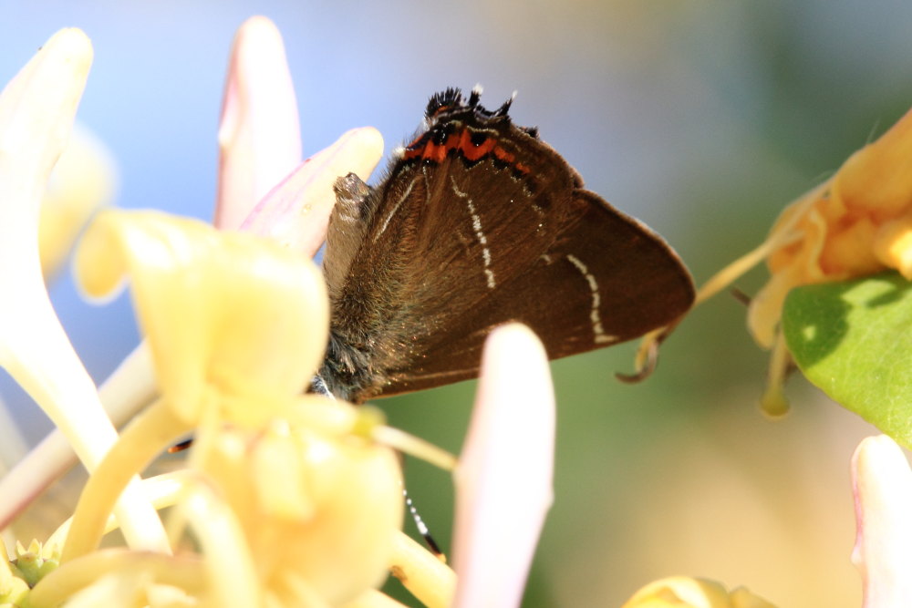 Finalmente la primavera (speriamo)