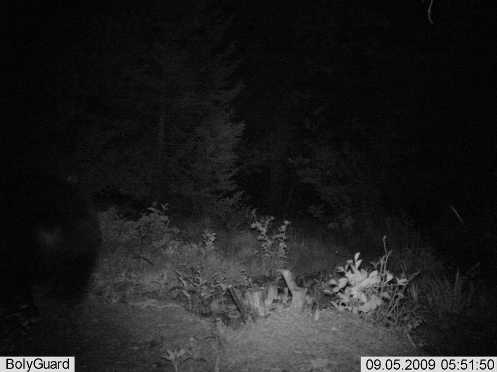 Bambina Che Tiene Un Orso Dell’orsacchiotto Ritratto Dentro in Pieno Immagine Stock Immagine