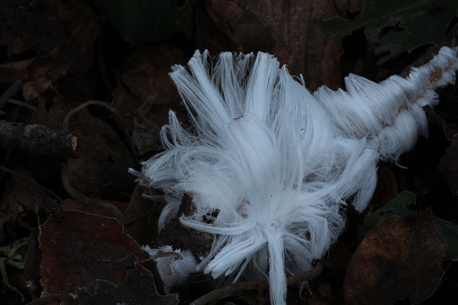 Capelli di ghiaccio