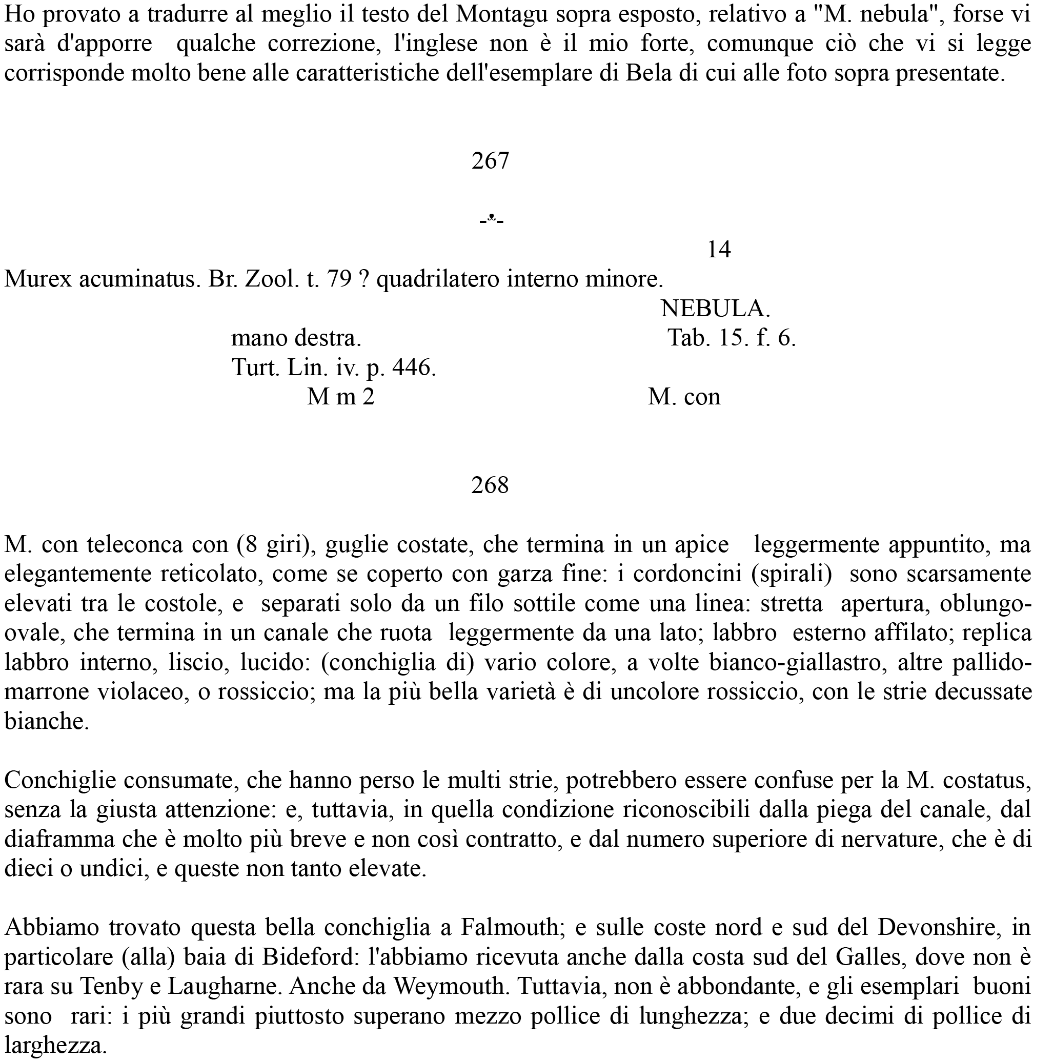 Bela da identificare