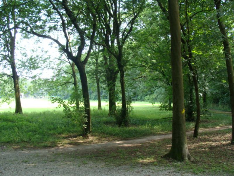 Il Parco di Monza