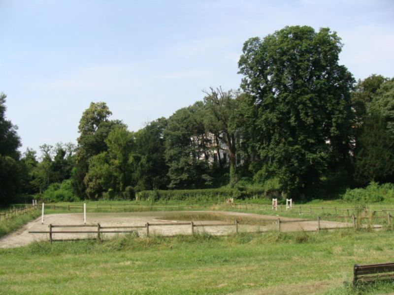 Il Parco di Monza
