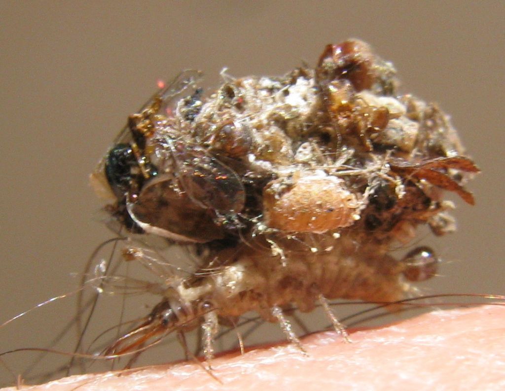 raccolta indifferenziata, i vantaggi..