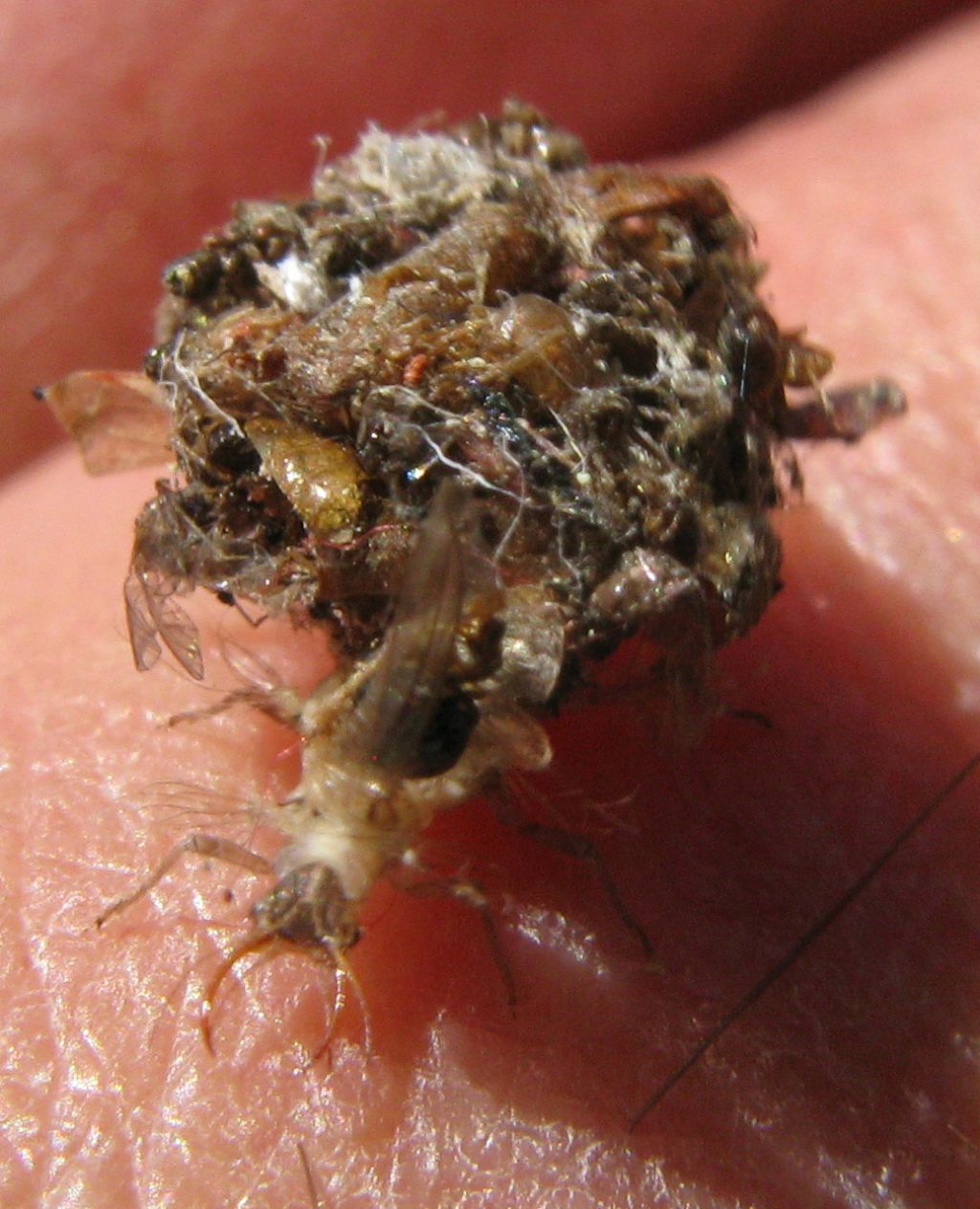 raccolta indifferenziata, i vantaggi..