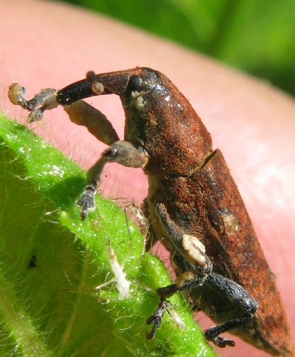 Per favore, ora basta con le foto!