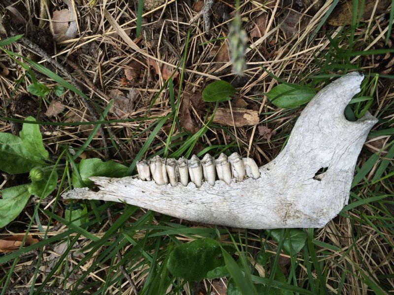 Nuovo weekend, nuovi ritrovamenti.