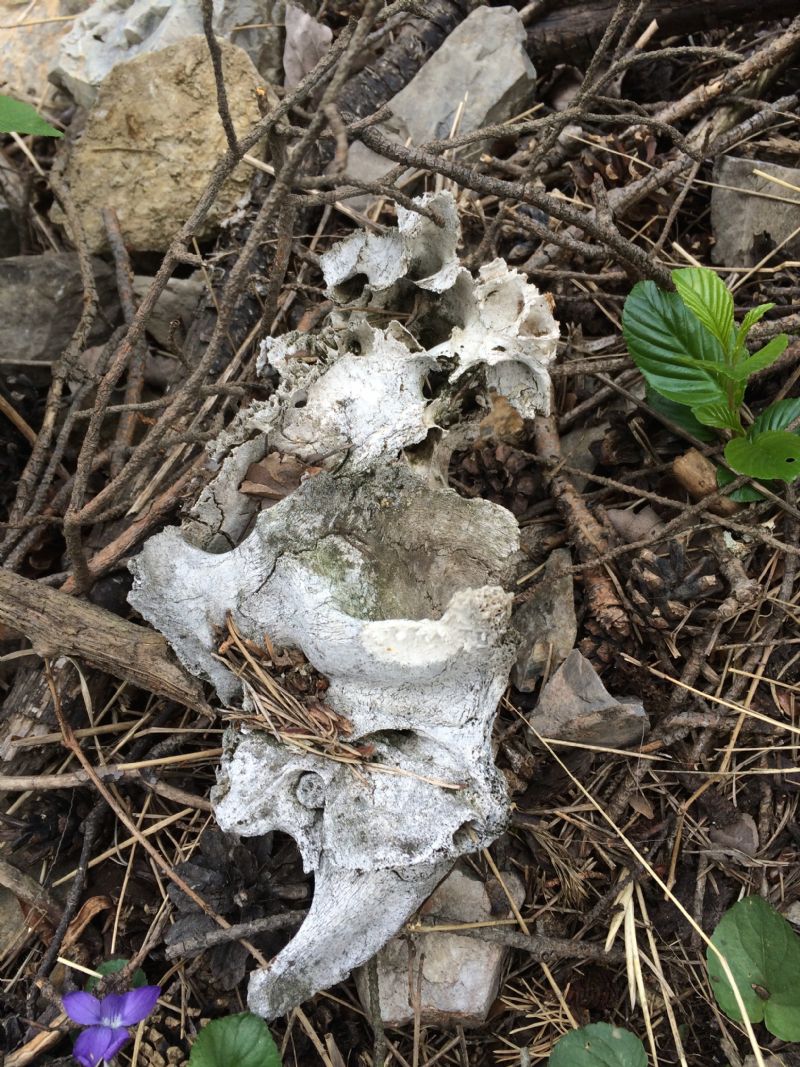 Nuovo weekend, nuovi ritrovamenti.