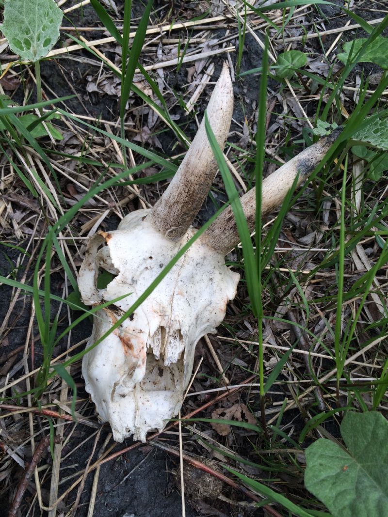 Nuovo weekend, nuovi ritrovamenti.