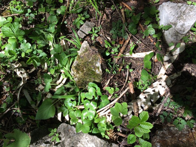 Nuovo weekend, nuovi ritrovamenti.