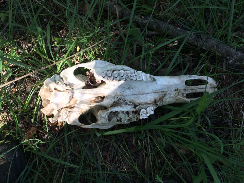 Nuovo weekend, nuovi ritrovamenti.