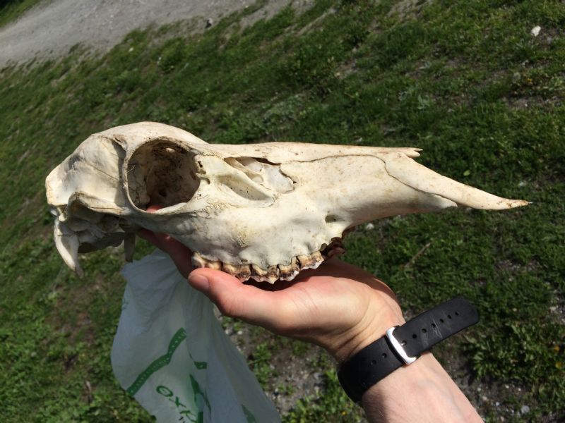 Nuovo weekend, nuovi ritrovamenti.