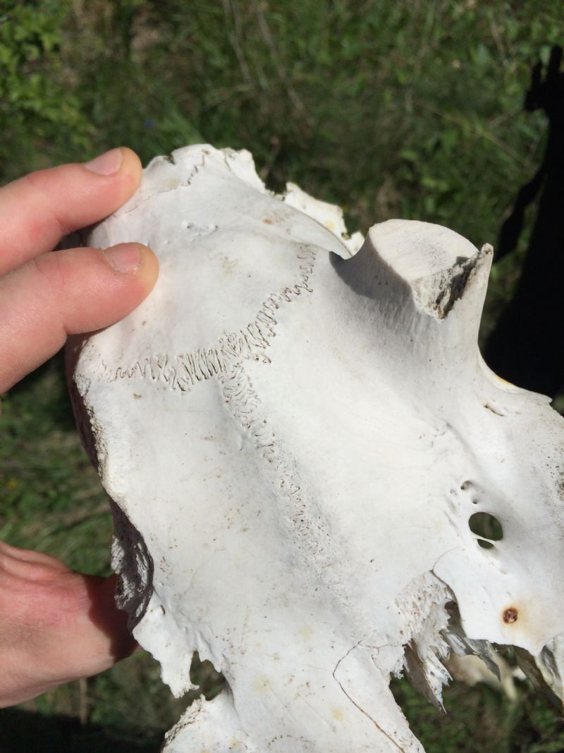 Nuovo weekend, nuovi ritrovamenti.