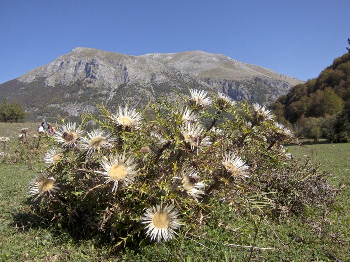Natura Mediterraneo festeggia i 10 anni!! Raduno NM