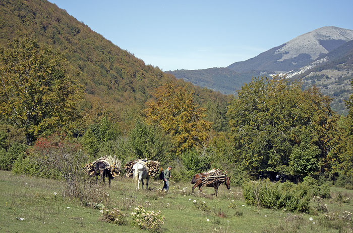 Natura Mediterraneo festeggia i 10 anni!! Raduno NM