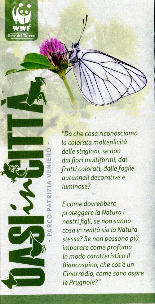 Oasi nella citt