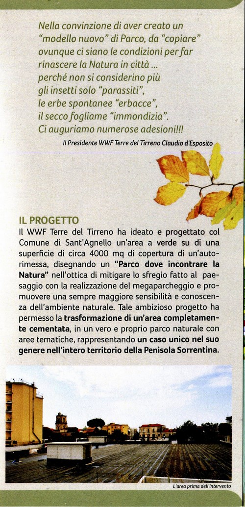 Oasi nella citt