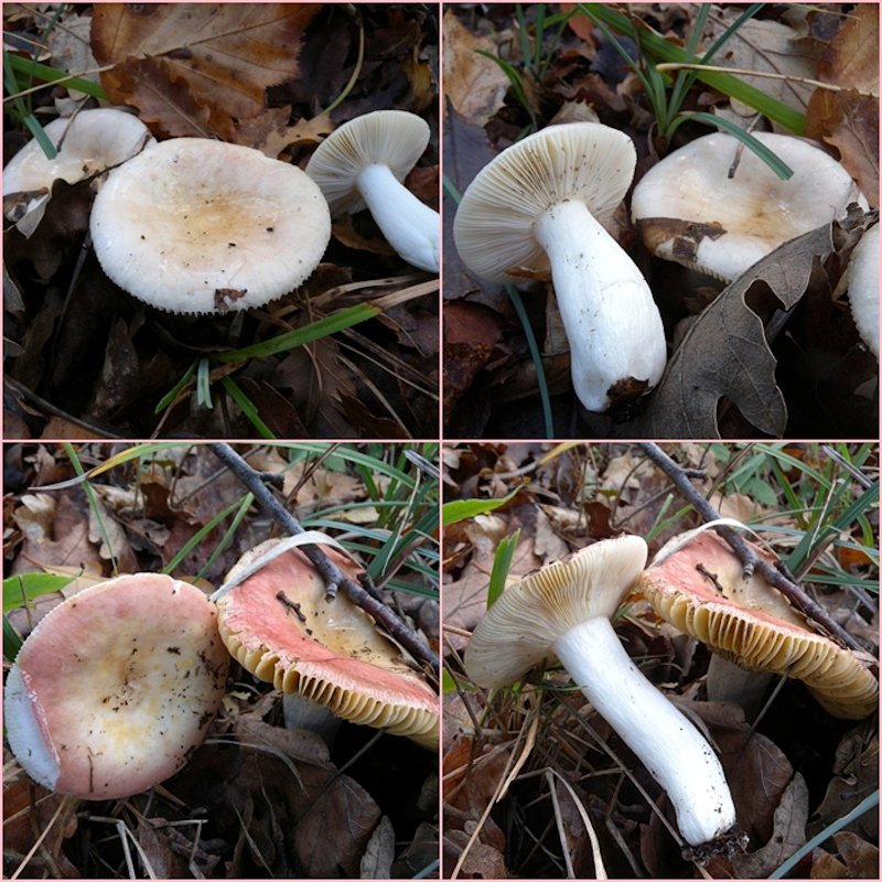 ...ultima bellissima giornata!