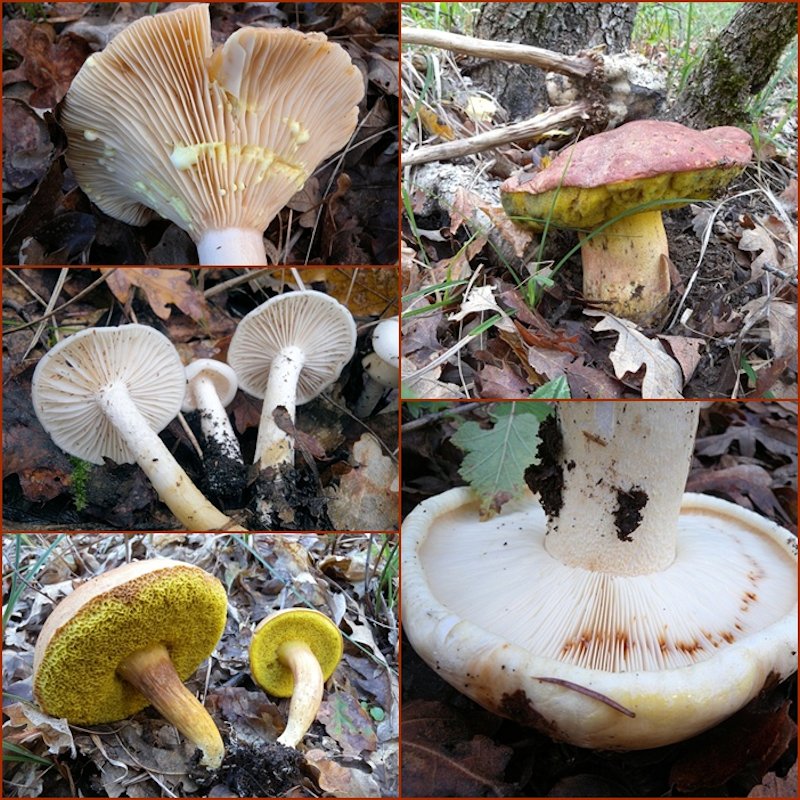 ...ultima bellissima giornata!