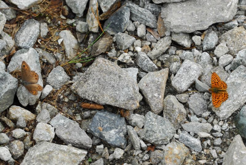 Alta Valle Morobbia 2 e 3