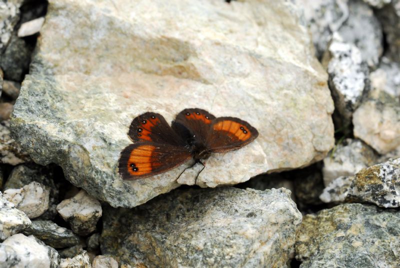 Alta Valle Morobbia 2 e 3