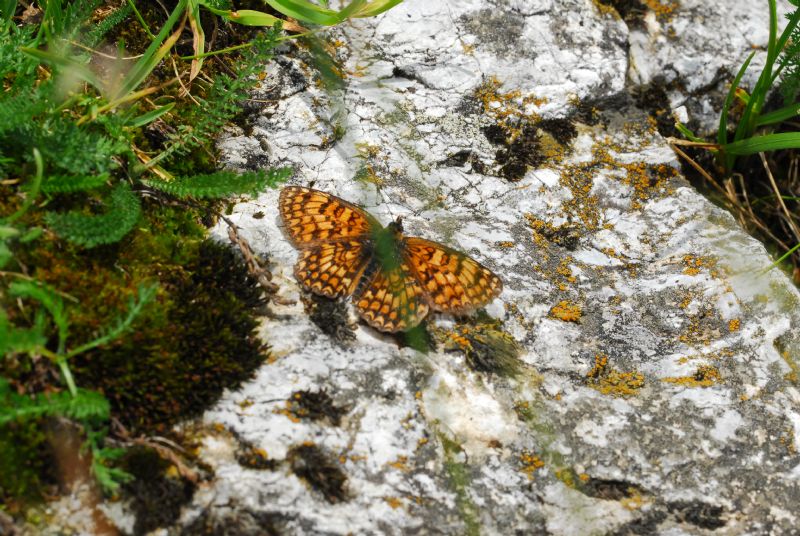 Alta Valle Morobbia 2 e 3