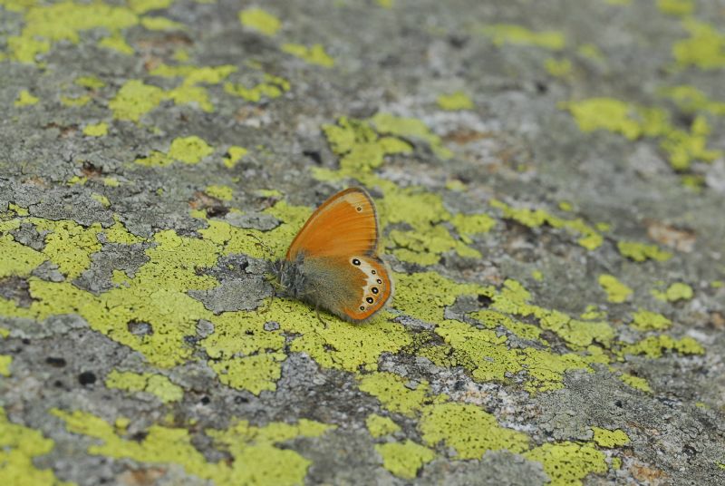 Alta Valle Morobbia 2 e 3