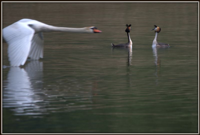 due foto curiose