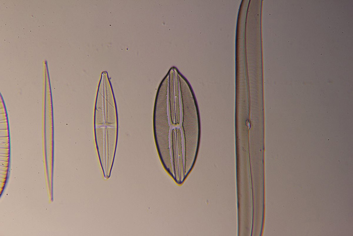illuminazione Zeiss Photomic I