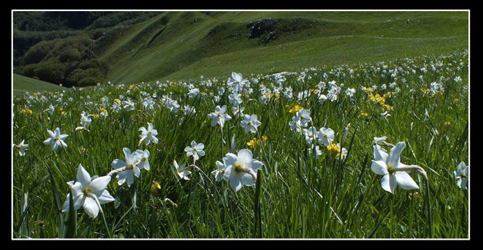 petizione per salvare le Alpi Apuane