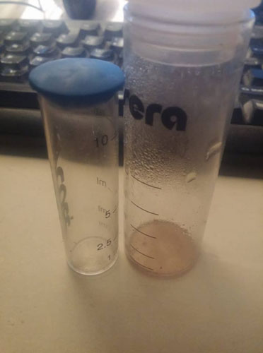 prove di coltivazione di Stemonitis