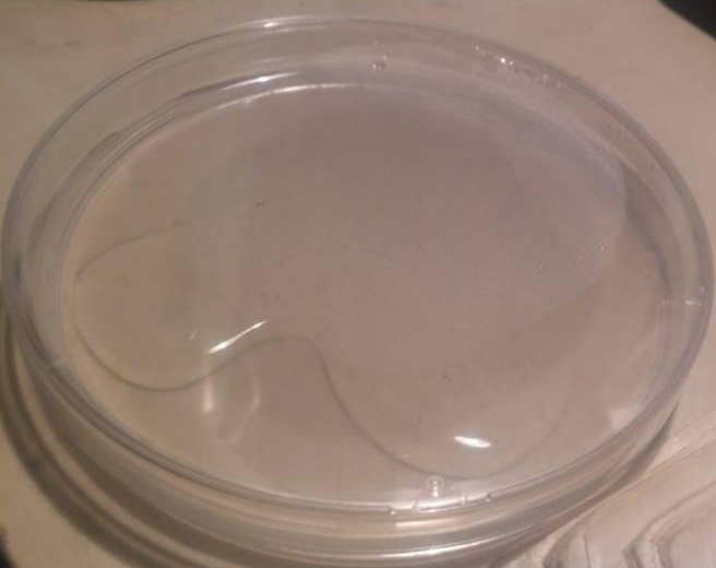 prove di coltivazione di Stemonitis