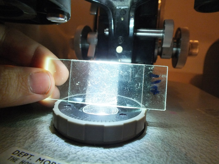 illuminazione Zeiss Photomic I