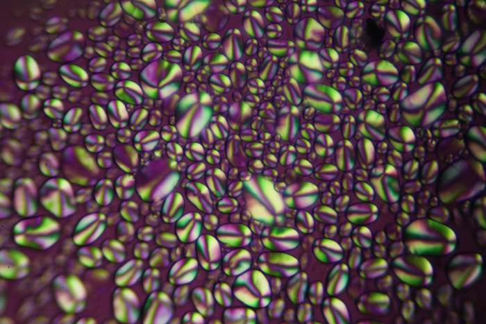 illuminazione Zeiss Photomic I