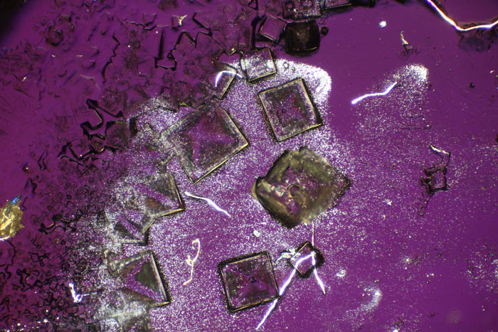 illuminazione Zeiss Photomic I