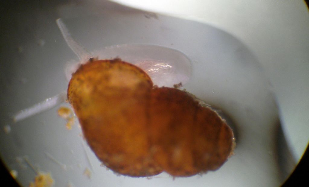 Una fontana lungo la strada