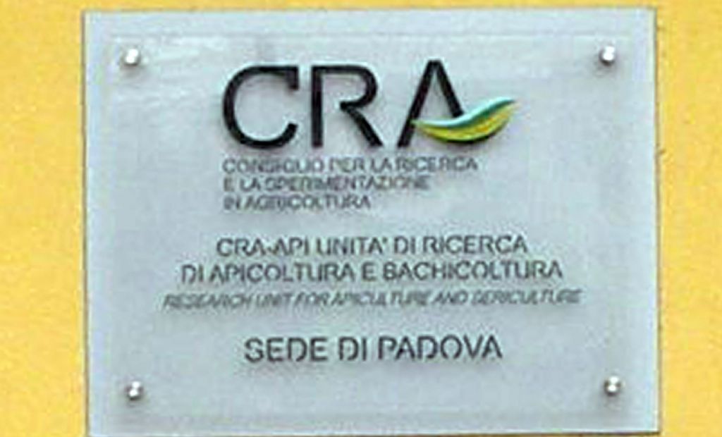 Alla scoperta del baco da seta