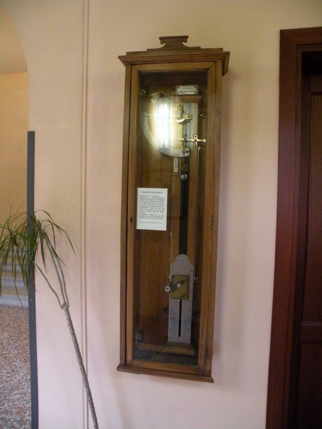 Alla scoperta del baco da seta
