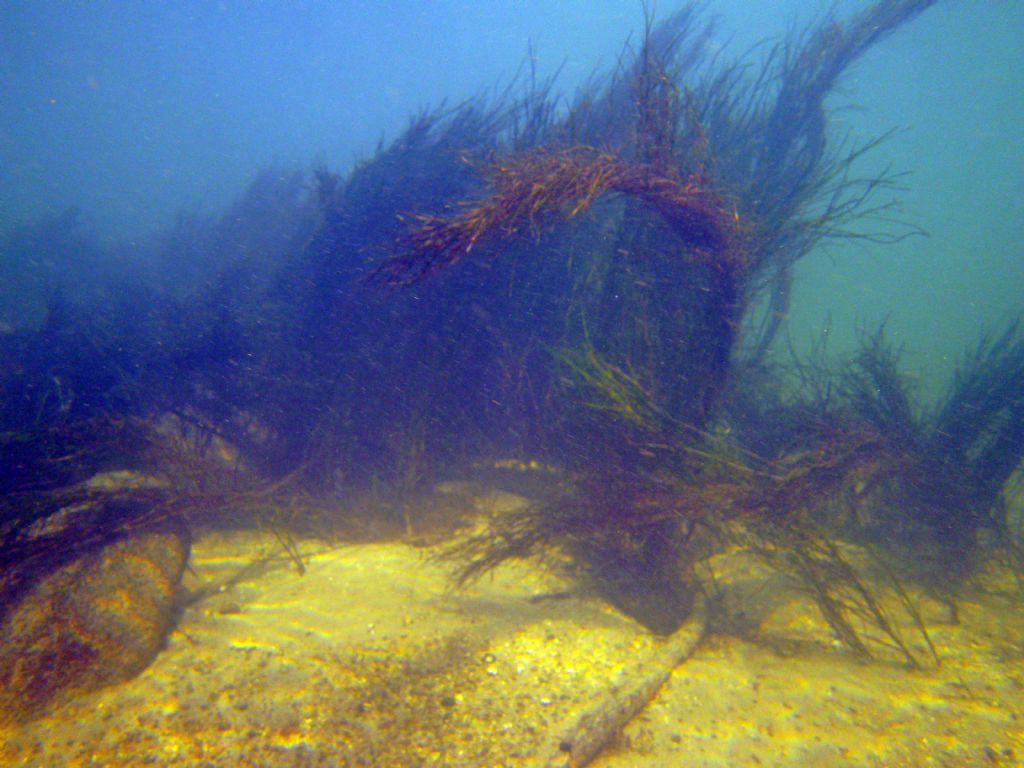 In fondo al Mincio