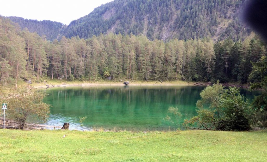 I salmerini del Fernsteinsee