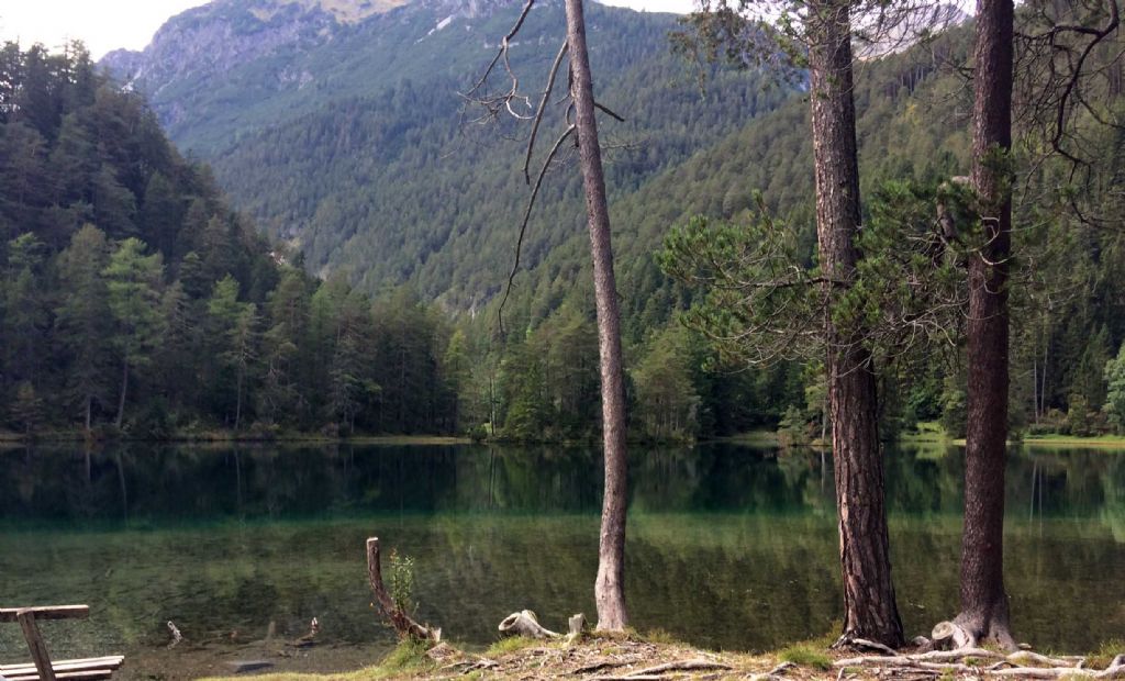 I salmerini del Fernsteinsee