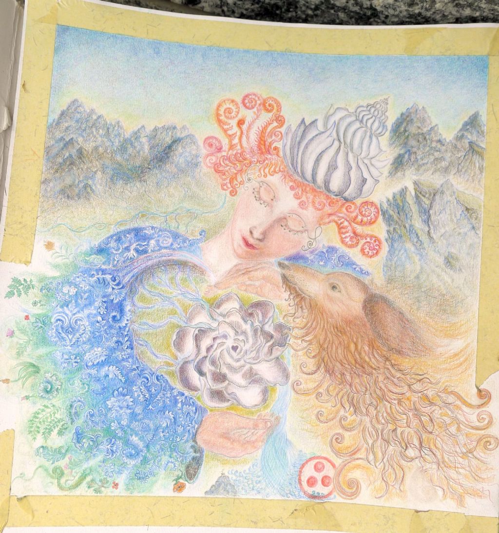 Turbo retusus(Brocchi) o Sthenorytis var. acutispina (Sacco)