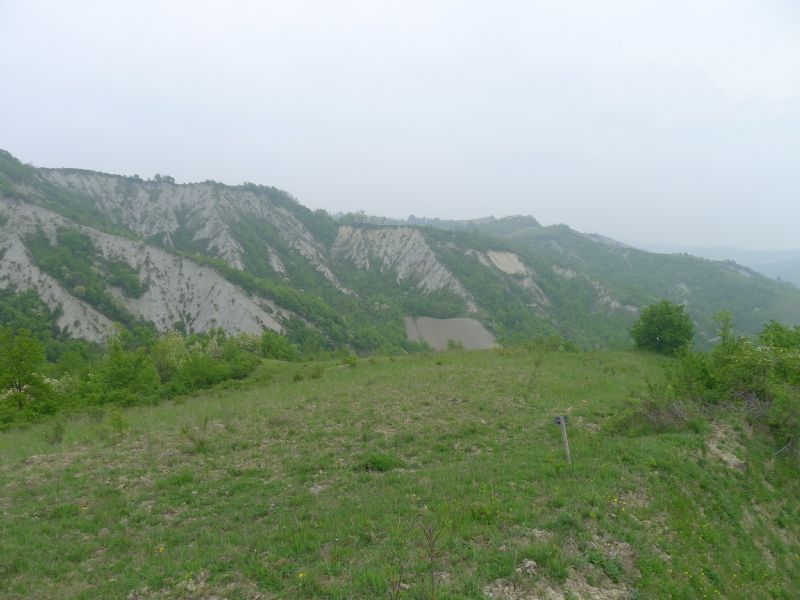 Alcune fatte di lupo, tra Bacedasco e Lugagnano,Piacenza