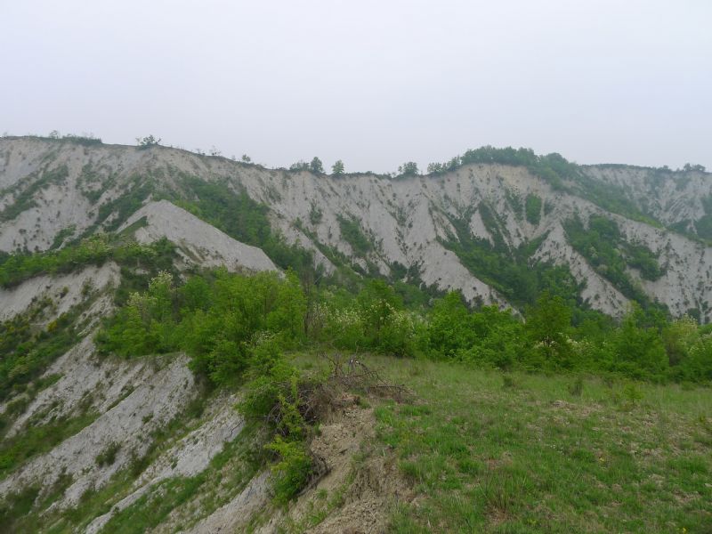 Alcune fatte di lupo, tra Bacedasco e Lugagnano,Piacenza