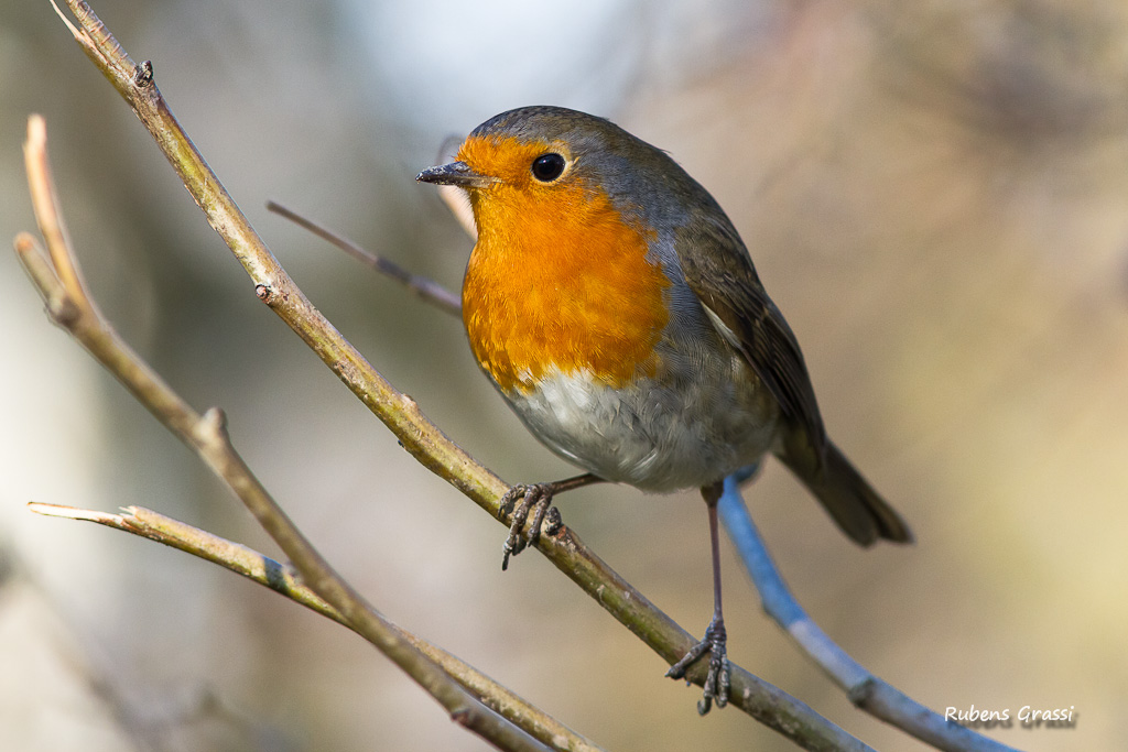 Scatti vaganti ambientati