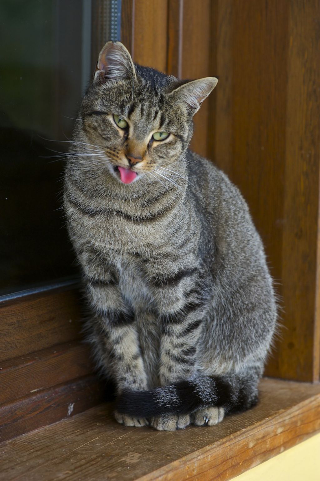 Momenti di tenerezza!