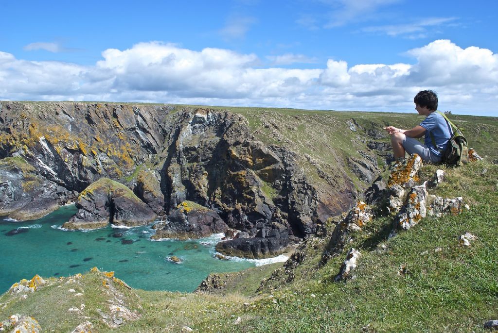 Various opiliones from Devon-Cornwall