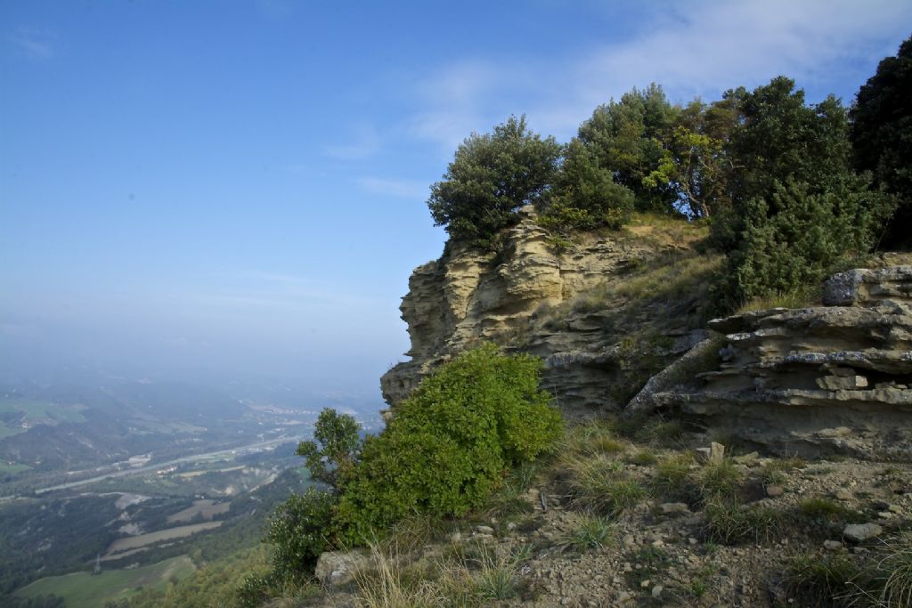 Meta menardi - Monte Adone, Grotta delle Fate (BO)