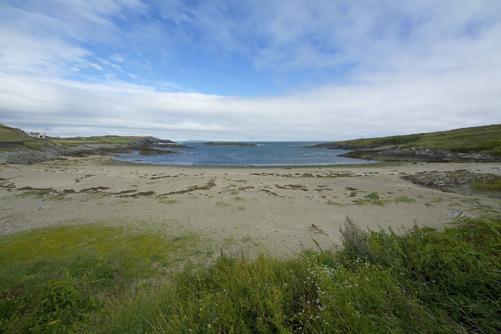 Cernuella virgata Irlanda